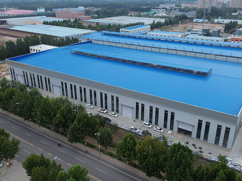 Company team 5